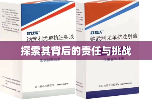 长沙探索其背后的责任与挑战